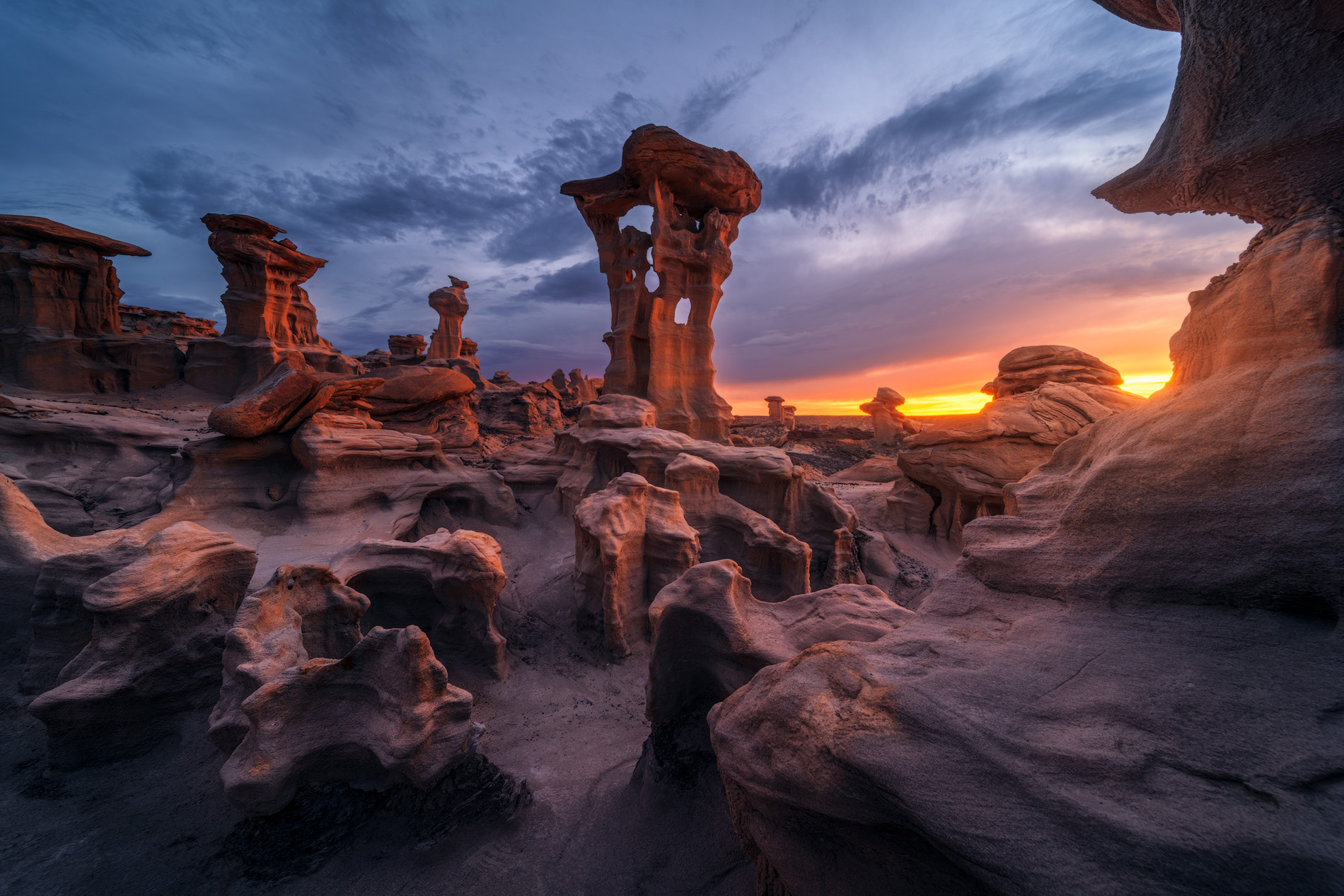 Daniel Viñé Garcia